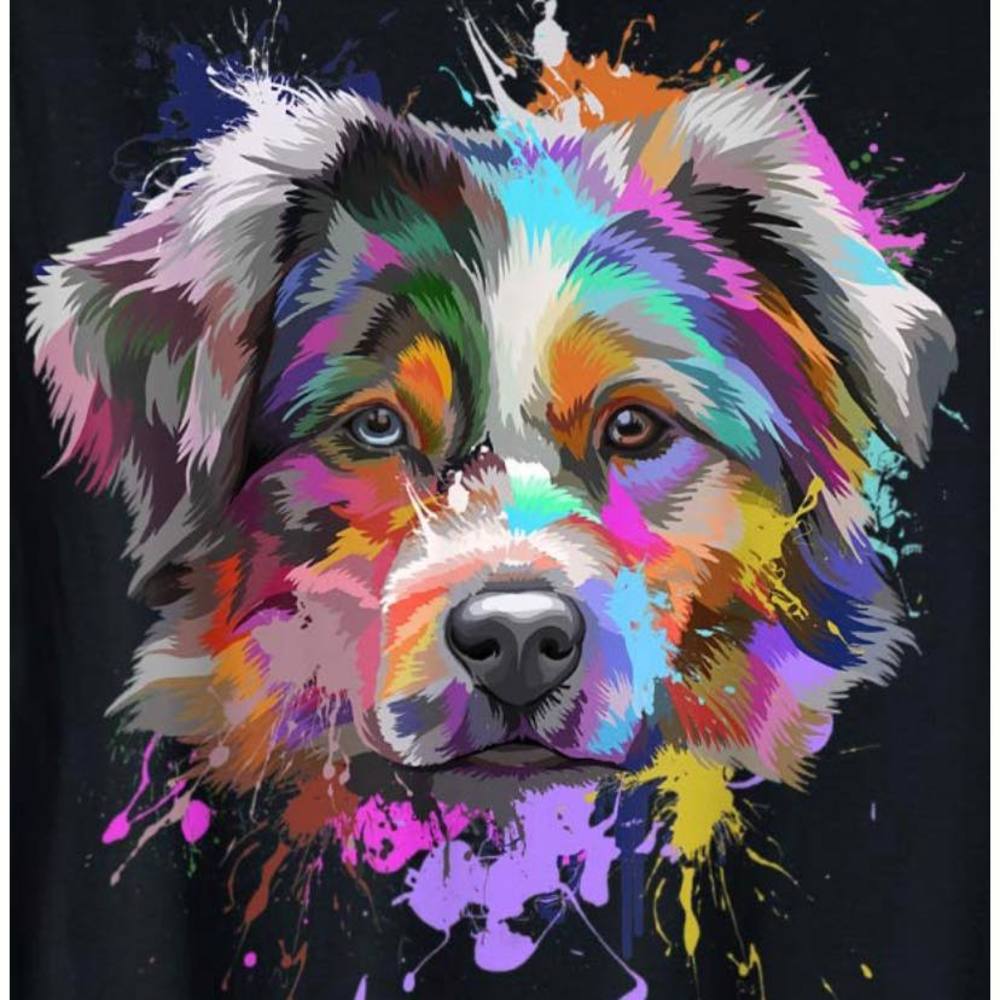 Meet your Posher, Misty